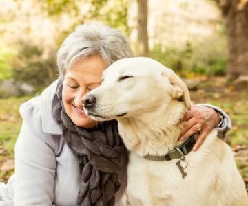Pet Euthanasia LI
