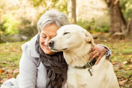 Pet Euthanasia LI