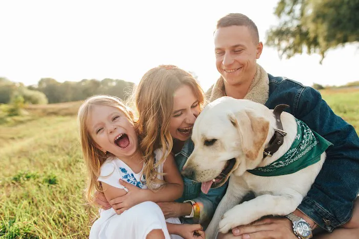 Pet Euthanasia LI 12