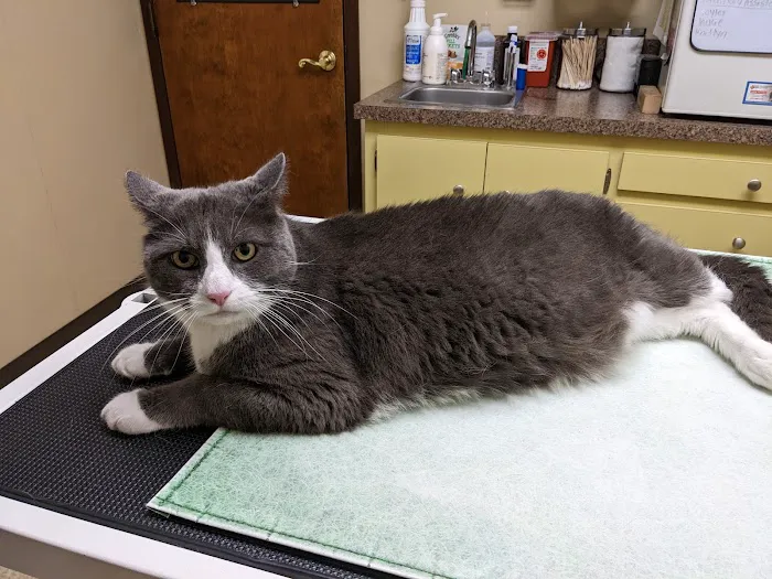 Miller Place Animal Hospital 1