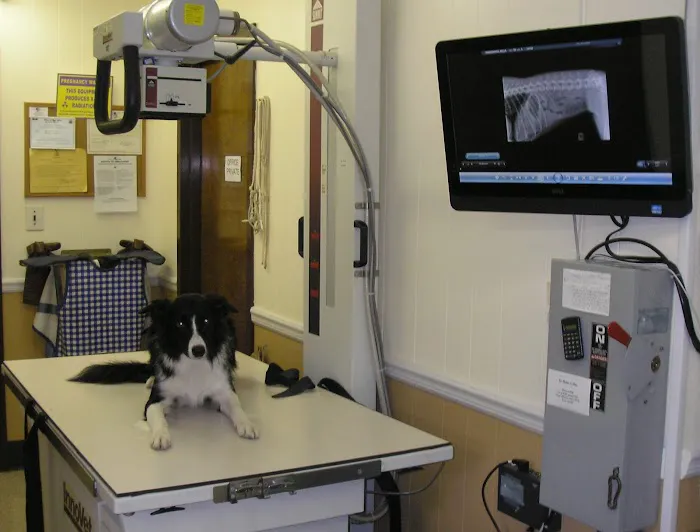 Miller Place Animal Hospital 2