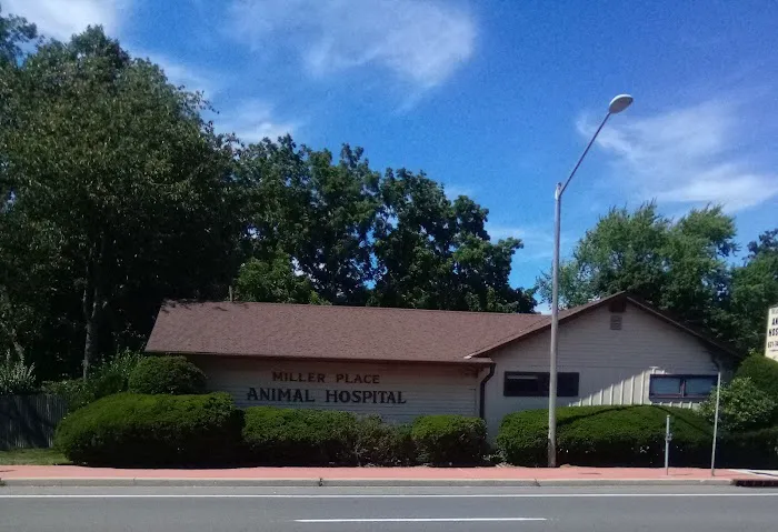 Miller Place Animal Hospital 4