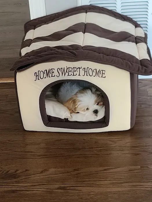 Rocky Shores Veterinary Hospital 5
