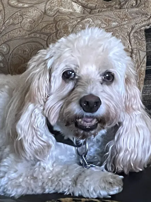 Rocky Shores Veterinary Hospital 4
