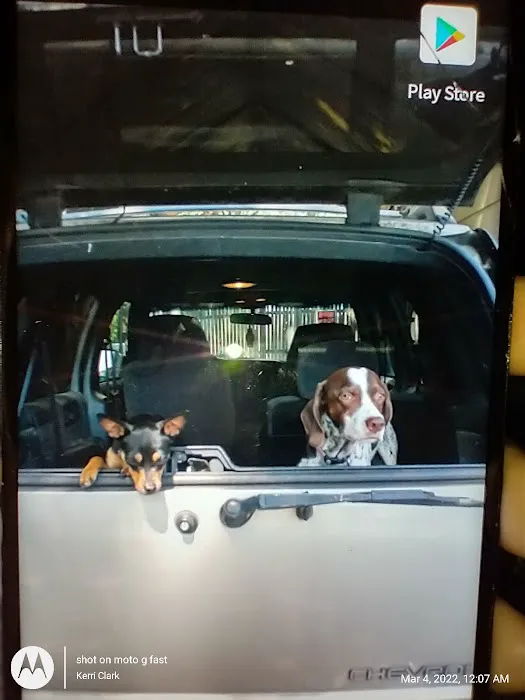 KERRI'S K9S KLINIC 3