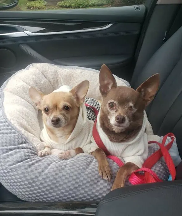 Long Island Spay and Neuter 12