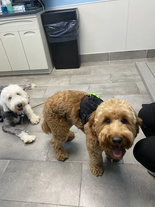Long Island Spay and Neuter 12