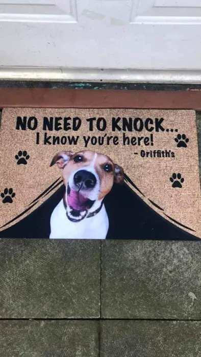 Medford Animal Hospital 12