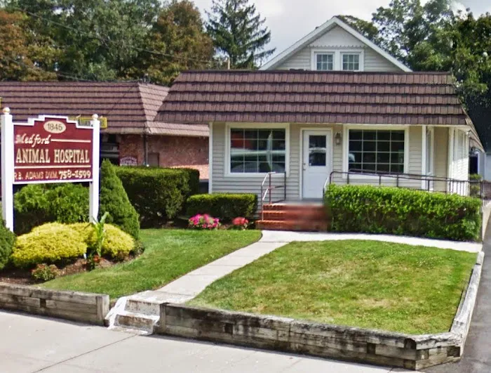 Medford Animal Hospital 12