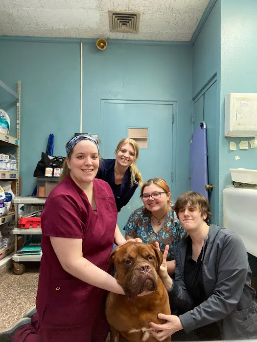 Paumanok Veterinary Hospital 7