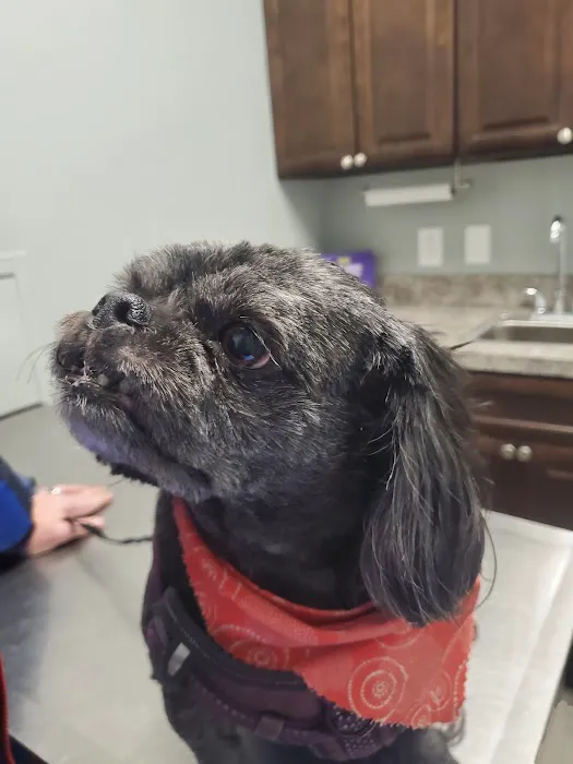 Fisher Hollow Veterinary Clinic 10