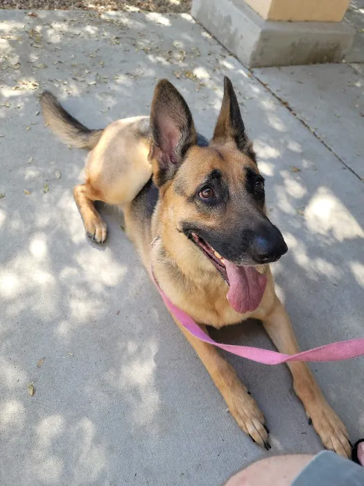 Murrieta Oaks Veterinary Hospital 4