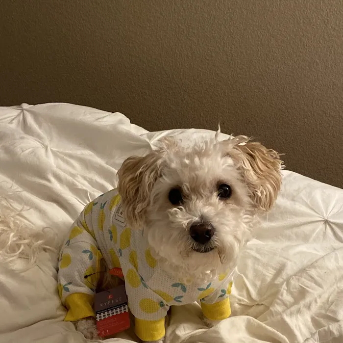 Murrieta Oaks Veterinary Hospital 9