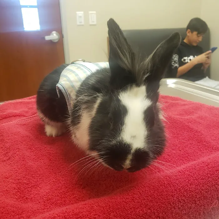 Murrieta Oaks Veterinary Hospital 6