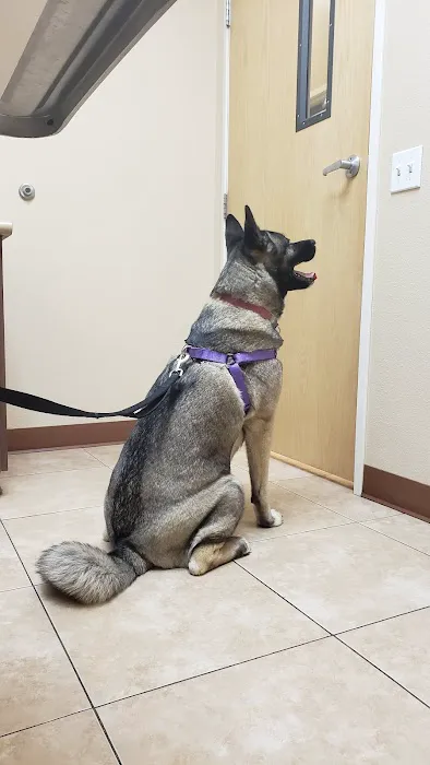 Murrieta Oaks Veterinary Hospital 1