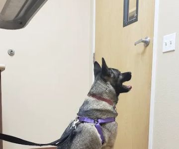 Murrieta Oaks Veterinary Hospital