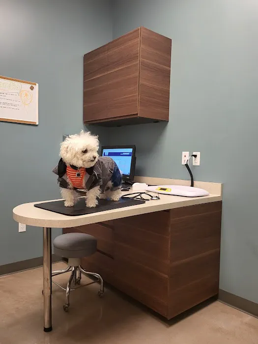 Pet Wellness Center, Veterinarian 2