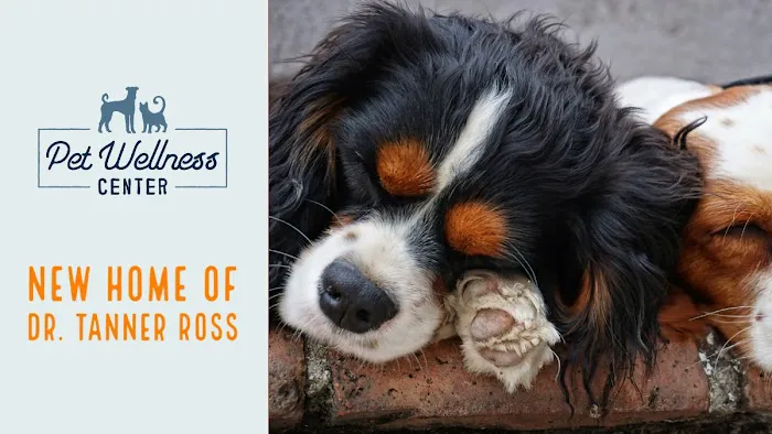 Pet Wellness Center, Veterinarian 9