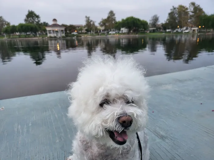 Pet Wellness Center, Veterinarian 3