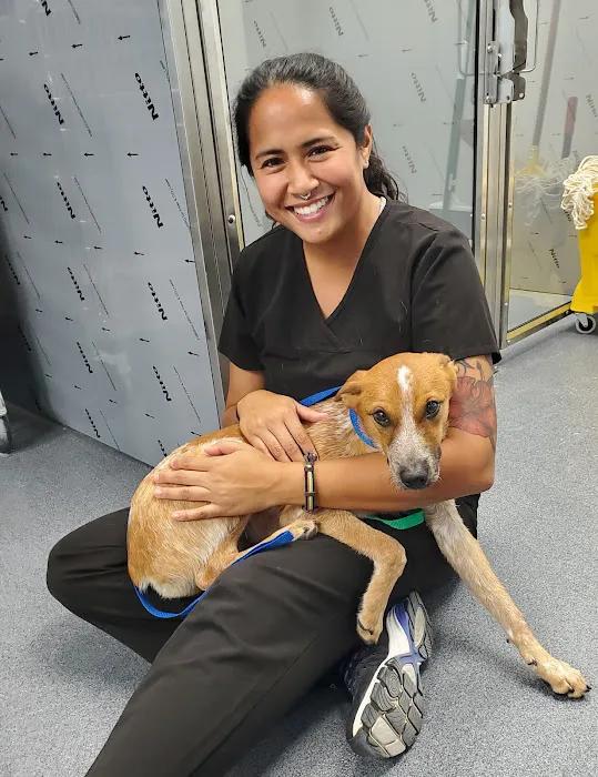 Golden Coast Veterinary Care 4