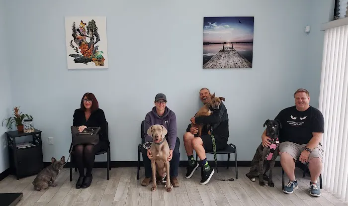 Golden Coast Veterinary Care 1