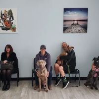 Golden Coast Veterinary Care ico