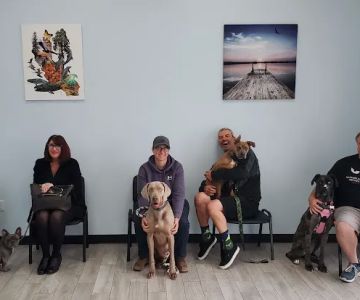 Golden Coast Veterinary Care
