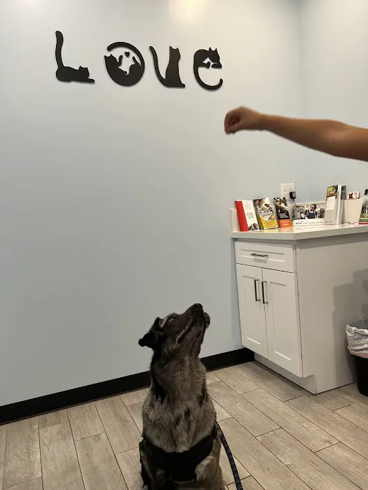 Golden Coast Veterinary Care 7