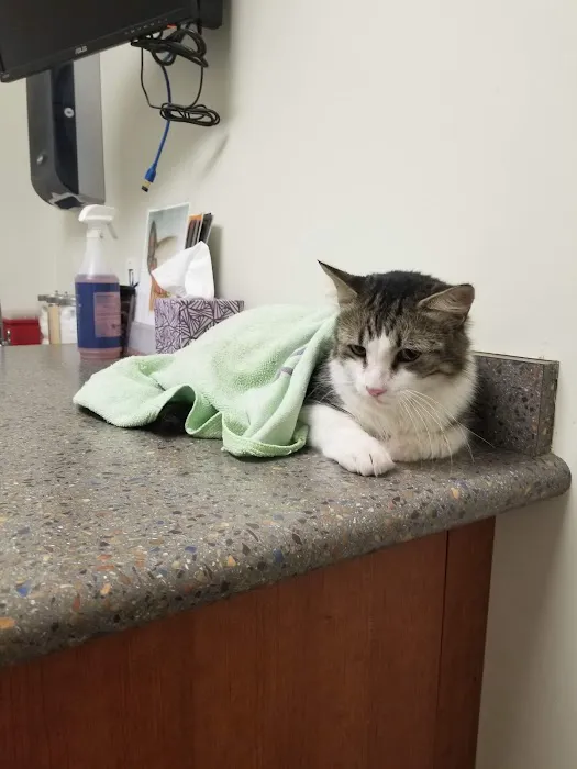 Clinton Keith Veterinary Hospital 9