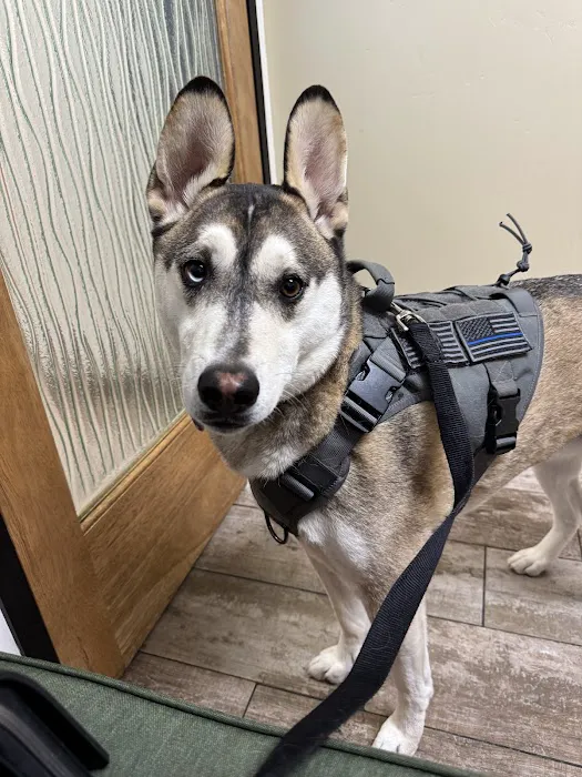 Clinton Keith Veterinary Hospital 2