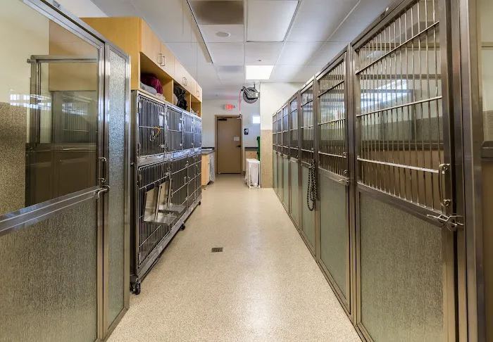 Clinton Keith Veterinary Hospital 4