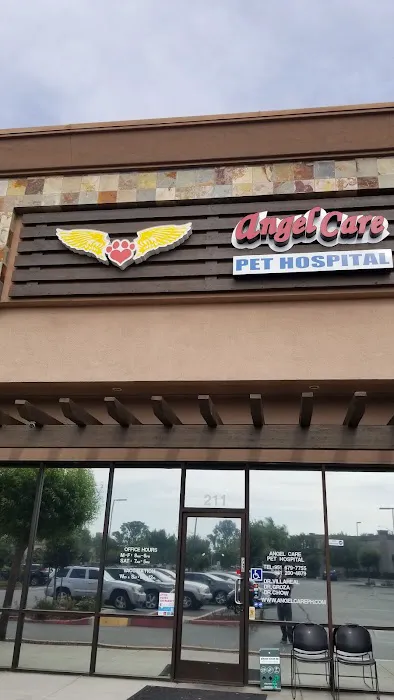 Angel Care Pet Hospital 2