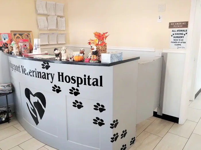 Bridgeport Veterinary Hospital 12