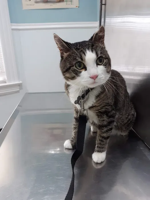Bridgeport Veterinary Hospital 12