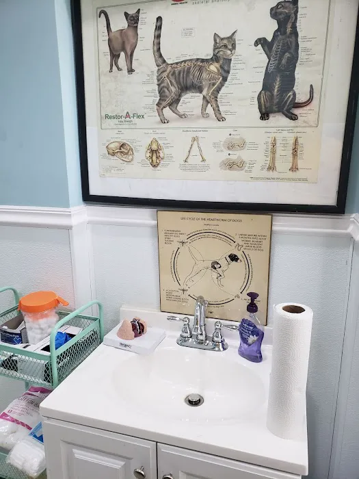 Bridgeport Veterinary Hospital 12