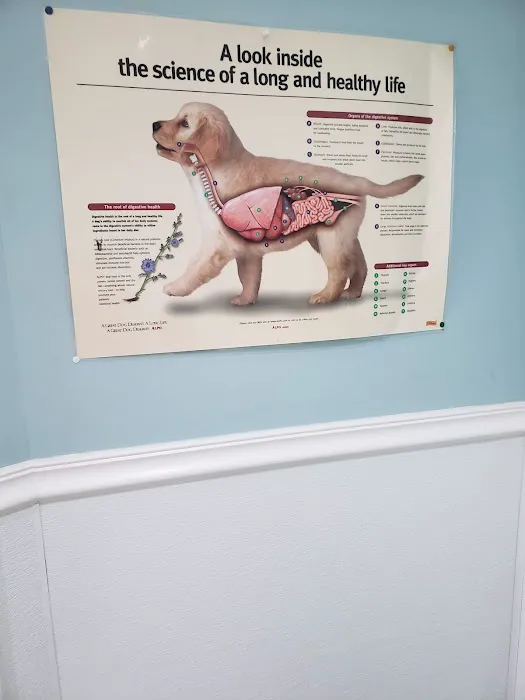 Bridgeport Veterinary Hospital 12
