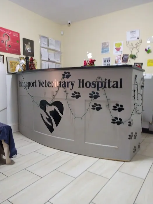Bridgeport Veterinary Hospital 12