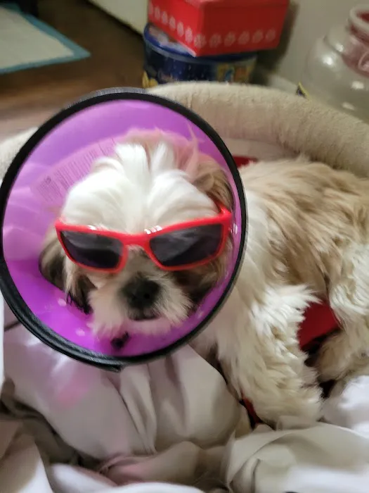 Bridgeport Veterinary Hospital 12