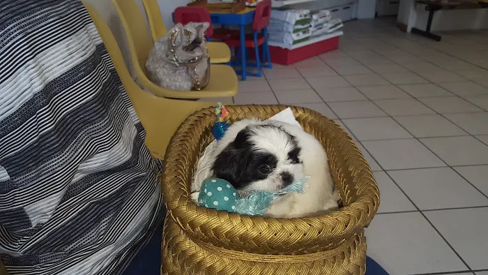 Brookside Veterinary Hospital 12