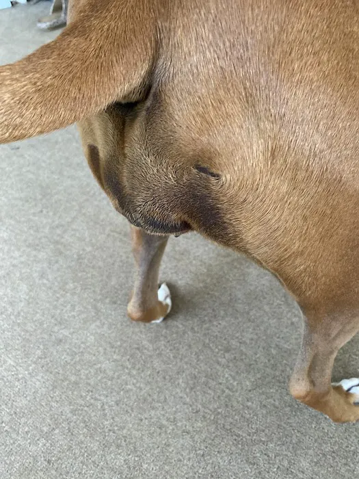 Brookside Veterinary Hospital 12