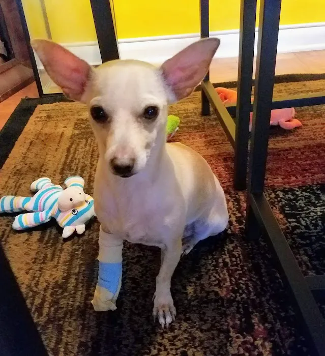 Brookside Veterinary Hospital 12