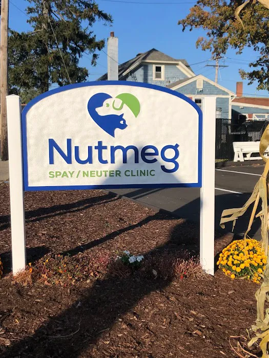 Nutmeg Spay/Neuter Clinic 12