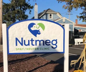 Nutmeg Spay/Neuter Clinic