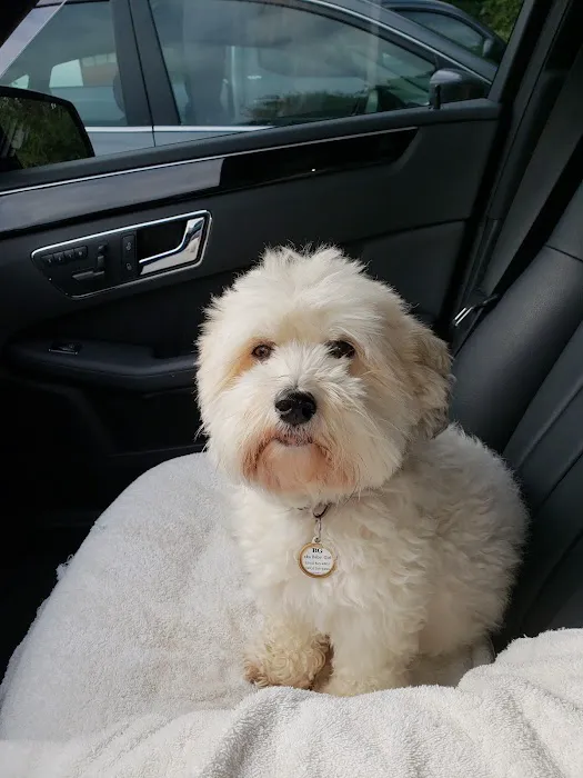 Shelton Veterinary Center LLC 12