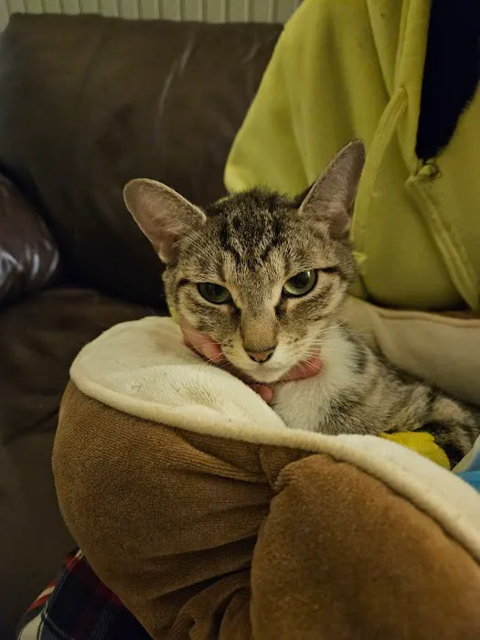 VCA Shoreline Veterinary Referral and Emergency Center 12