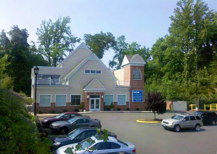 VCA Shoreline Veterinary Referral and Emergency Center 12