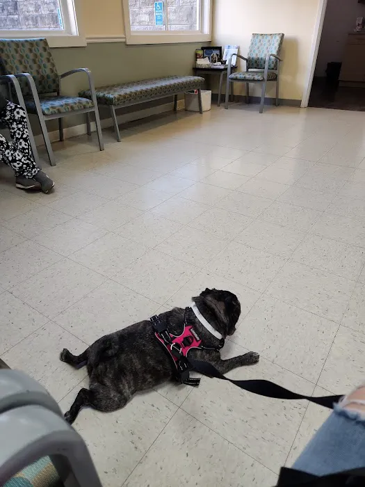 VCA Shoreline Veterinary Referral and Emergency Center 12