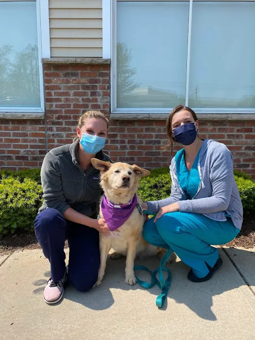 VCA Shoreline Veterinary Referral and Emergency Center 12