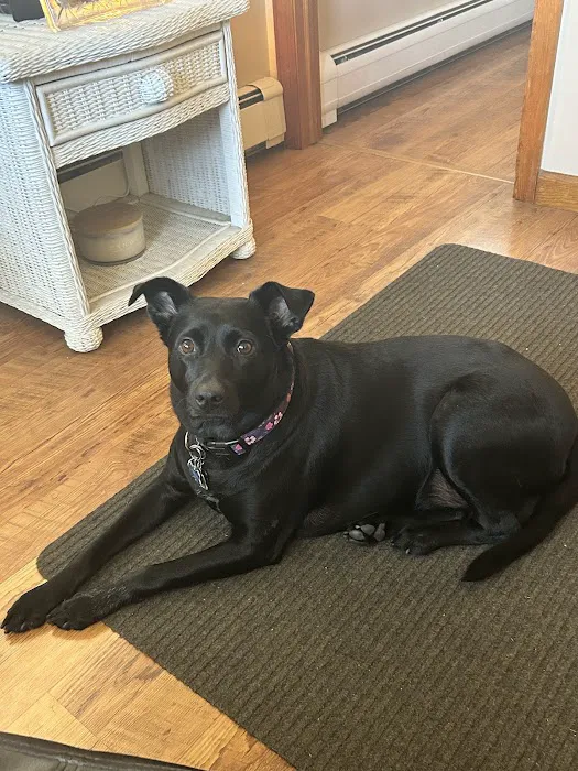 Pieper Veterinary Stratford 12
