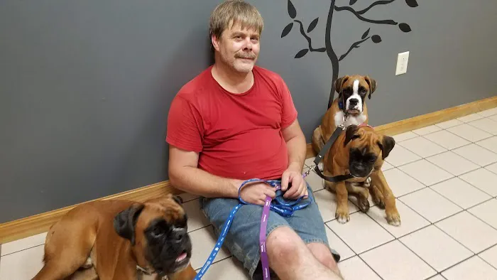 VCA All Caring Animal Hospital 12